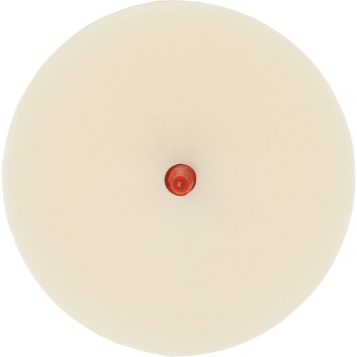 Scotch-Brite Moulding Adhesive & Stripe Removal Disc, 7501, 4" Dia. CSL Industriel Inc.