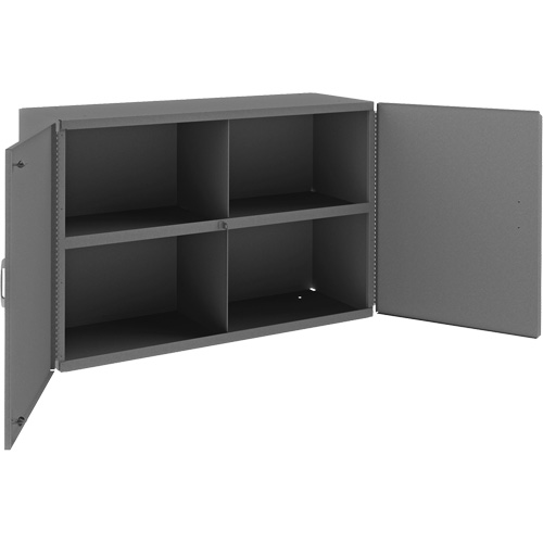 Wall-Mountable Cabinet, 24" H x 33-13/16" W x 12-3/8" D, 1 Shelves, Steel, Grey CSL Industriel Inc.