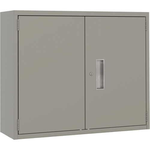 Armoire murale, Acier, 2 Tablettes, 30" h x 36" la x 12" P, Gris CSL Industriel Inc.