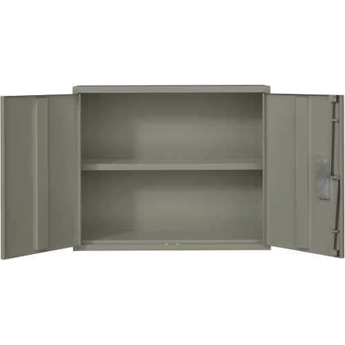 Armoire murale, Acier, 2 Tablettes, 30" h x 36" la x 12" P, Gris CSL Industriel Inc.