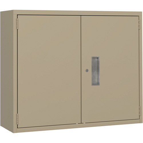 Wall Mounted Cabinet, Steel, 2 Shelves, 30" H x 36" W x 12" D, Beige CSL Industriel Inc.