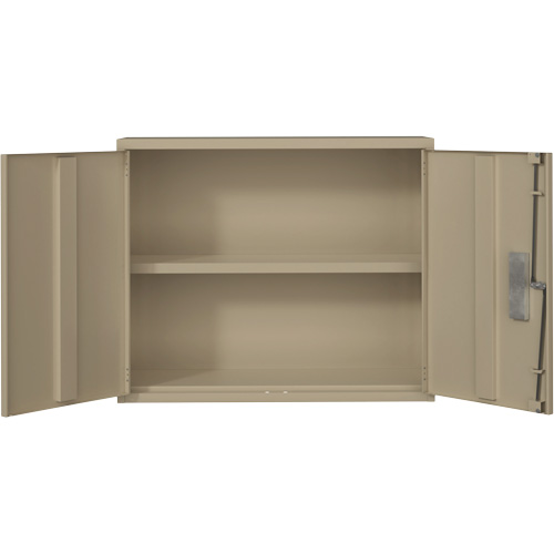 Wall Mounted Cabinet, Steel, 2 Shelves, 30" H x 36" W x 12" D, Beige CSL Industriel Inc.