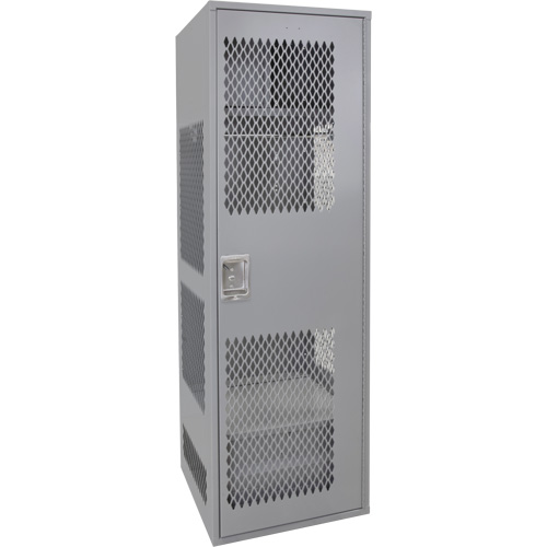 Gear Locker with Door, Steel, 24" W x 24" D x 72" H, Grey CSL Industriel Inc.