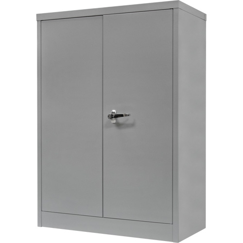 Counter-High Storage Cabinet, Steel, 2 Shelves, 42" H x 30" W x 15" D, Grey CSL Industriel Inc.