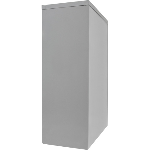 Counter-High Storage Cabinet, Steel, 2 Shelves, 42" H x 30" W x 15" D, Grey CSL Industriel Inc.