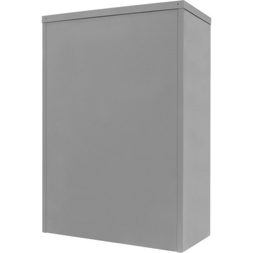 Counter-High Storage Cabinet, Steel, 2 Shelves, 42" H x 30" W x 15" D, Grey CSL Industriel Inc.