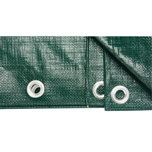 Tarp, Heavy-Duty, Green, 8' x 6' x 9 mils CSL Industriel Inc.