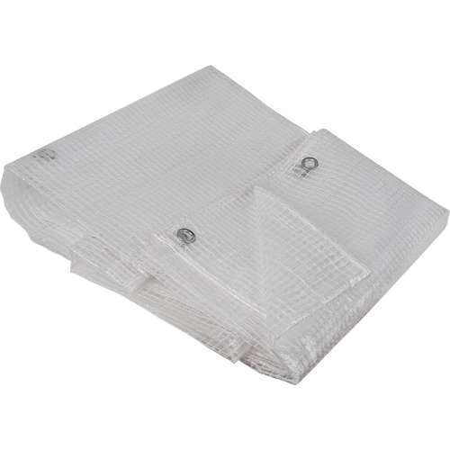 Clear Tarp, 10' x 8' x 8 mils CSL Industriel Inc.