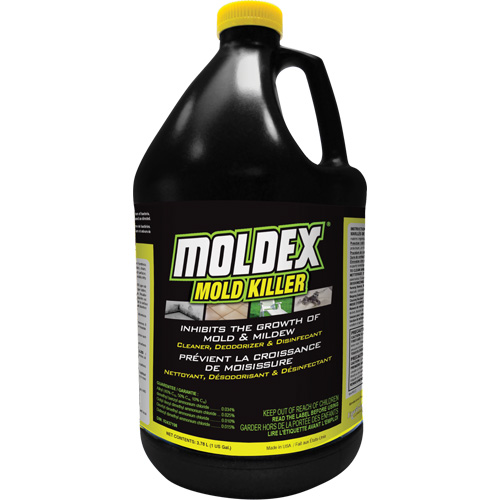 D&eacute;sinfectant contre les moisissures Moldex, 3,78 L, Cruche CSL Industriel Inc.