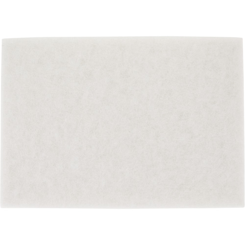 Tampon pour planchers TopLine Speed, 14" x 20", Lustrage/Nettoyage/Polissage, Blanc CSL Industriel Inc.