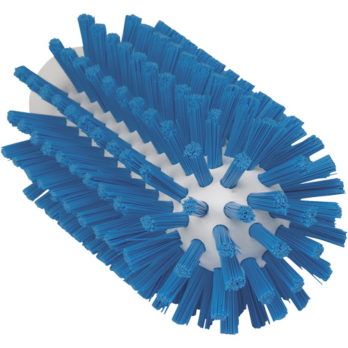 Brosse de 2,5", Soies Ferme, Longueur de 5-3/5", Bleu CSL Industriel Inc.