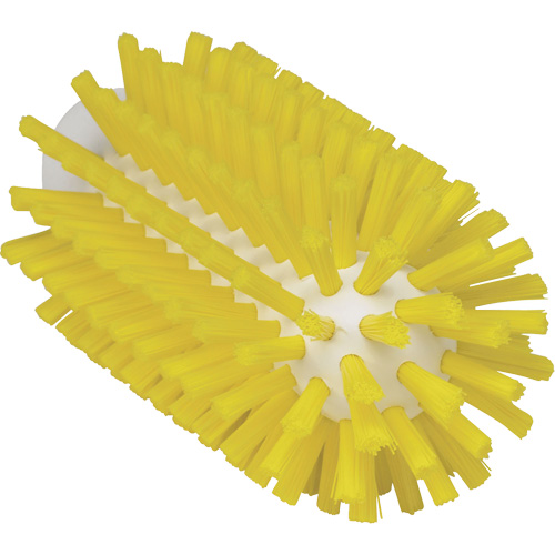 Brosse de 2,5", Soies Ferme, Longueur de 5-3/5", Jaune CSL Industriel Inc.