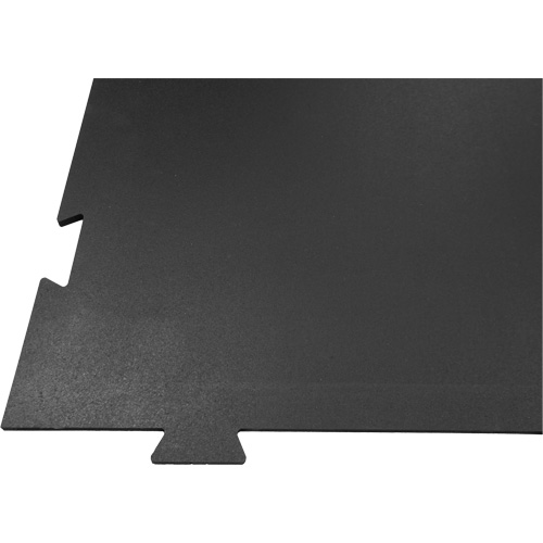 Plancher pour centre d'entraînement &agrave; la maison Voyager CSL Industriel Inc.