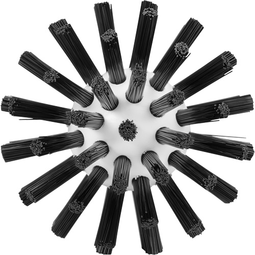 Brosse de nettoyage, Soies Ferme, Longueur de 5-7/10", Noir CSL Industriel Inc.