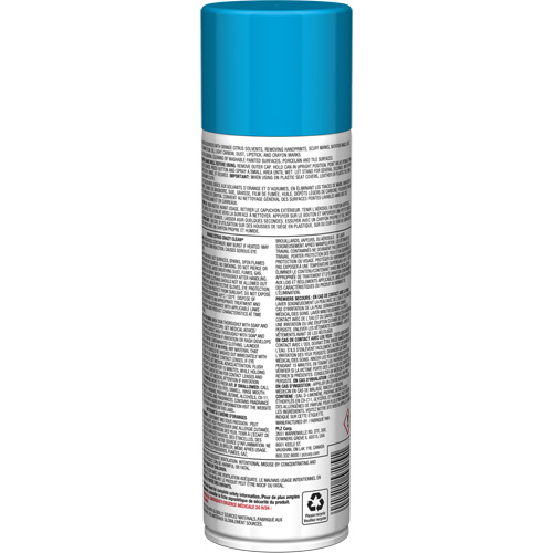 Pro Line Crazy Clean&reg; All Purpose Cleaner, 19 oz., Aerosol Can CSL Industriel Inc.