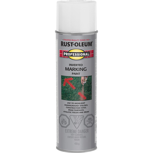 Inverted Marking Paint Spray, 426 g, Aerosol Can CSL Industriel Inc.