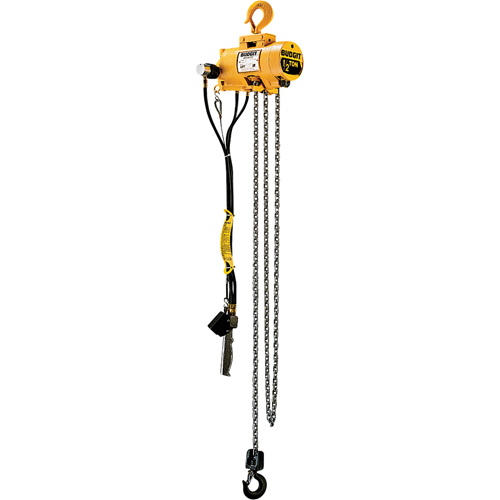 Budgit&reg; Air Chain Hoists CSL Industriel Inc.