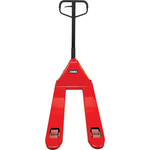 Manual Pallet Truck, Steel, 48" L x 21" W, 5500 lbs. Capacity CSL Industriel Inc.