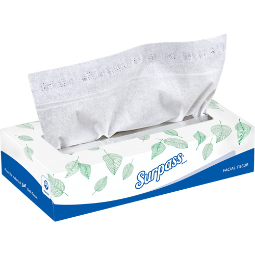 Surpass&reg; Facial Tissue, 2 Ply, 8.3" L x 7.8" W, 100 Sheets/Box CSL Industriel Inc.