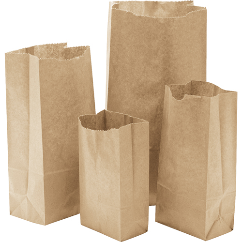 Sacs en papier, Papier, 4-3/16" la x 8-0/0" lo CSL Industriel Inc.