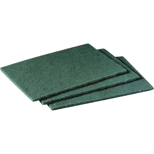 Tampons manuels Scotch-Brite, 9" lo x 6" la CSL Industriel Inc.