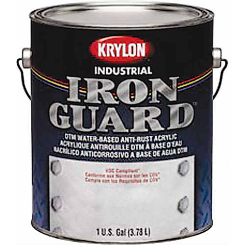 Industrial Iron Guard&reg; Water-Based Enamel, Can, Grey CSL Industriel Inc.