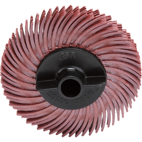 Scotch-Brite Radial Bristle Disc, RB-ZB, Ceramic, 220 Grit, 2" Dia. CSL Industriel Inc.