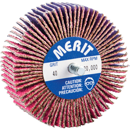 Mini-meule &agrave; lamelles filet&eacute;es, C&eacute;ramique d'alumine, Grain 40, 3" x 1" x 1/4"-20 CSL Industriel Inc.