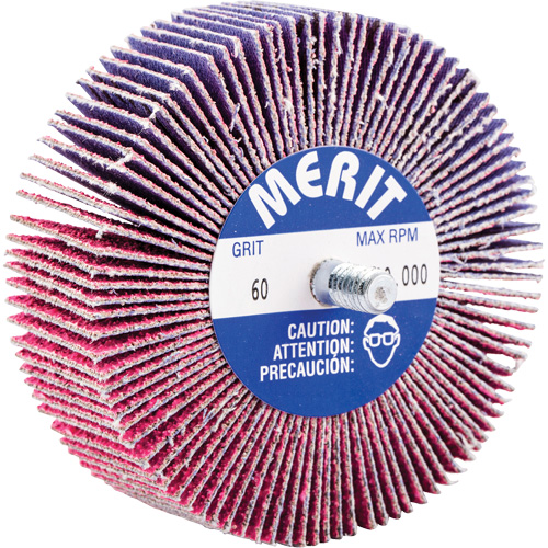 Threaded Mini Flap Wheel, Ceramic Alumina, 60 Grit, 3" x 1" x 1/4"-20 CSL Industriel Inc.