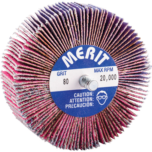 Threaded Mini Flap Wheel, Ceramic Alumina, 80 Grit, 3" x 1" x 1/4"-20 CSL Industriel Inc.