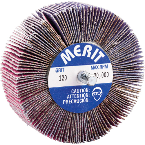 Mini-meule &agrave; lamelles filet&eacute;es, C&eacute;ramique d'alumine, Grain 120, 3" x 1" x 1/4"-20 CSL Industriel Inc.