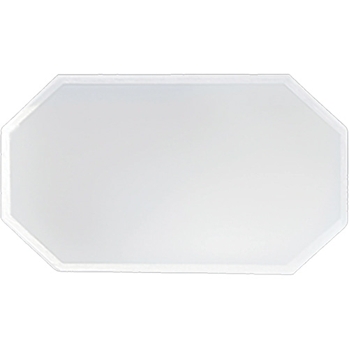 Replacement Plastic Shield for Suction & Pressure Cabinets CSL Industriel Inc.