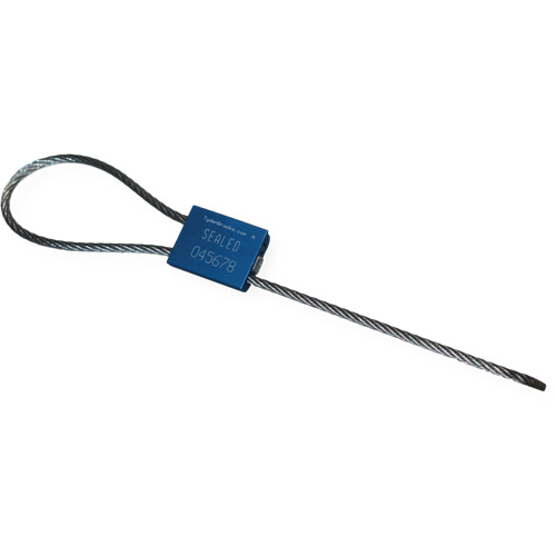 Scell&eacute; de s&eacute;curit&eacute; &agrave; c&acirc;ble Flexsecure FS35, 12", M&eacute;tal, Scell&eacute; &agrave; c&acirc;ble CSL Industriel Inc.
