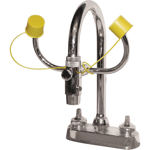 Eyewash Station, Sink Mount Installation CSL Industriel Inc.