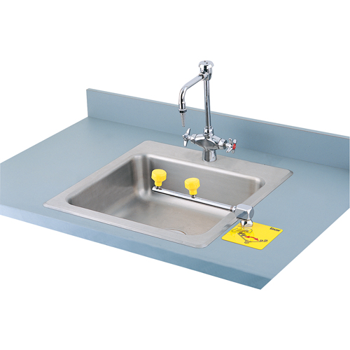 Swing-Away Eyewash Station, Counter-Mount Installation CSL Industriel Inc.