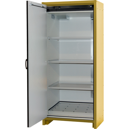 Armoire d'entreposage 30 minutes s&eacute;curitaire et conforme &agrave; la norme EN, 30 gal., 1 Porte(s), 34,02" La x 76,65" h x 24,21" p CSL Industriel Inc.