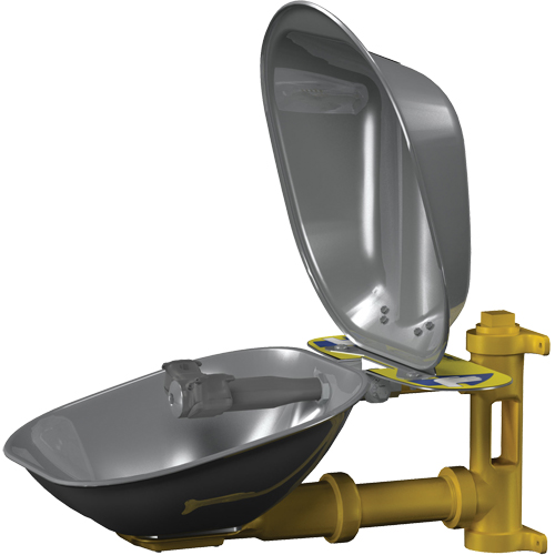 Halo Eyewash Stations, Wall-Mount Installation, Stainless Steel Bowl CSL Industriel Inc.