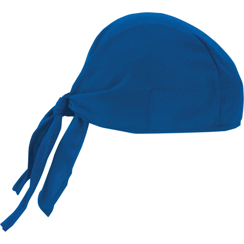 Coiffes de refroidissement Chill-Its 6615, Bleu CSL Industriel Inc.