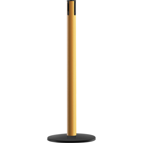 Advance TensaBarrier&reg; - Receiver Post, 36" High, Yellow CSL Industriel Inc.