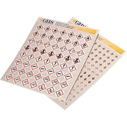 Assortiment d'&eacute;tiquettes avec pictogrammes sgh, Vinyle, Feuille, 1/2" lo x 1/2" la CSL Industriel Inc.