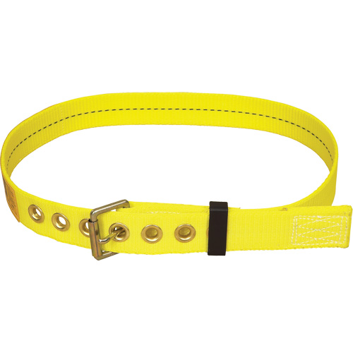 Ceinture avec boucle &agrave; ardillon Delta CSL Industriel Inc.