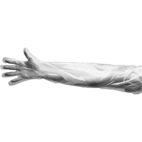 Disposable Gloves, Large, Polyethylene, 9-mil, Powdered, Clear CSL Industriel Inc.