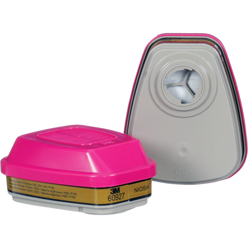 Cartouche, Combinaison cartouche et filtre contre les particules pour gaz/vapeurs, Gaz multiples/Vapeurs/P100 CSL Industriel Inc.