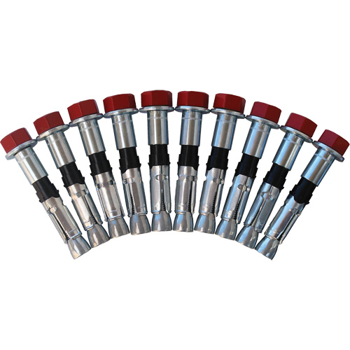 Replacement Bolt Kit for Concrete D-Ring Anchors, Bolt-On, Permanent/Temporary Use CSL Industriel Inc.