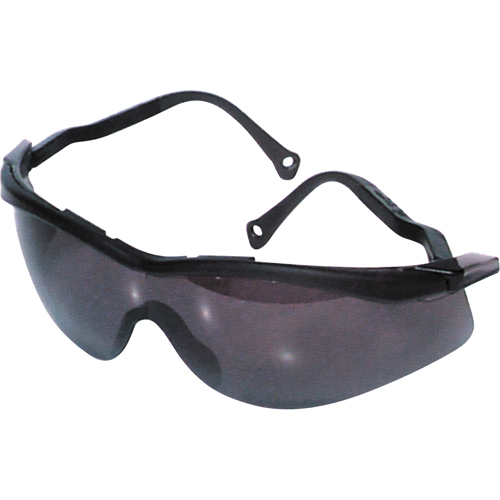 Lunettes de s&eacute;curit&eacute; North The Edge, Lentille Fum&eacute;e, Antibu&eacute;e/Anti-&eacute;gratignures, R&eacute;pond ou surpasse la norme CSA Z94.3 CSL Industriel Inc.