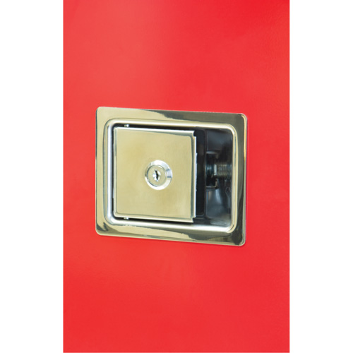 Heavy-Duty Outdoor Fire Extinguisher Cabinet, 14" W x 28" H x 10" D CSL Industriel Inc.