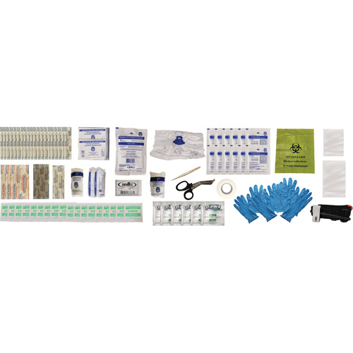 Shield First Aid Kit, Meets/Exceeds CSA Z1220-24 Type 2 Low-Risk Environment, Small (2-25 Workers) CSL Industriel Inc.