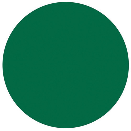 Round Write-On Labels, Circle, 3" L x 3" W, Green CSL Industriel Inc.