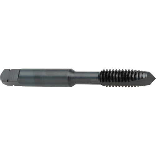 Taraud &agrave; entr&eacute;e h&eacute;licoidale, Acier rapide au cobalt, Filet de 8-32, 2-1/8" l CSL Industriel Inc.