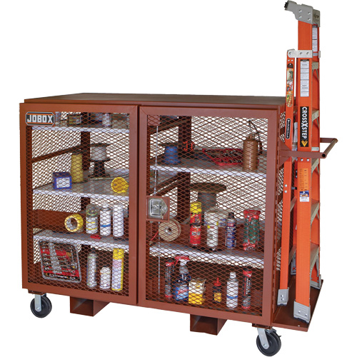 Mobile Mesh Cabinet, Steel, 49 Cubic Feet, Red CSL Industriel Inc.